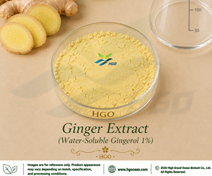 HGO Factory Fourniture directe d'extrait de gingembre naturel pur (qualité alimentaire) Spécification Gingerol 1% (extrait standardisé) - Product Image 5