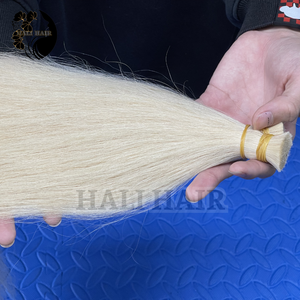 Alta calidad a granel 100% Remy vietnamita estilo recto extensiones de cabello humano suave sedoso sin enredos Super doble dibujado Hali Hair - Product Image 6