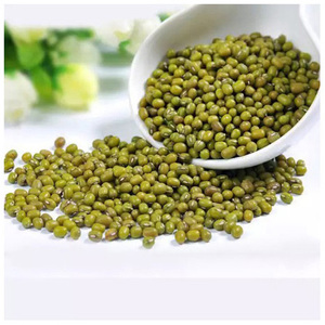 Prix attractif pour les haricots mungo verts entiers en vrac - Product Image 4