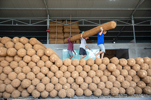 ENVÍO EN EL MISMO DÍA: Tronco de Coco para Drenaje y Mitigación de Deslizamientos de Tierra, Fibra Limpia, Stock Disponible, Directo de Fábrica - Product Image 5