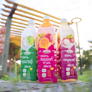 Nawon, marque de boisson au jus n°1 du Vietnam, boisson à la mangue 100% en bouteille, boisson NFC, marque privée, échantillon gratuit, fournisseur de détail. - Product Image 3