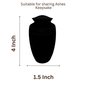 Urna Conmemorativa para Cenizas Humanas o de Mascotas, Pequeña Urna para Guardar Cenizas, Grabada en Esmalte Blanco Niquelado, Capacidad de 200 Pulgadas Cúbicas, Estilo Americano - Product Image 5