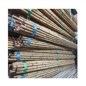 Varas de Ratán Natural de 2-3 Metros de Largo, Diámetro de 2 Metros, Secado al Aire, Origen Vietnam, Marca 99GD, Vida Útil de 2 Años - Product Image 1