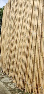 Natural Bamboo Plant Support <b>Poles</b> Plastic Free <b>Garden</b> Supply <b>for</b> Sustainable Growing Projects - Product Image 5