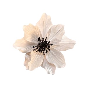 Premium White Iceland Poppy Sola Wood Flowers Sustainable Craft Handmade 8-8.5cm Sesbania <b>Reed</b> Home Fragrance Model 001 TH VADEE - Product Image 1