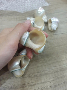 Anneaux de serviette en coquillages naturels faits à la main, anneaux de serviette en coquillages blancs pour la décoration de table de dîner côtier, mariage sur la plage, vente en gros - Product Image 3