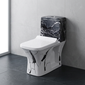 WC monobloc de luxe en porcelaine colorée, à poser au sol, pour salle de bain haut de gamme - Product Image 1