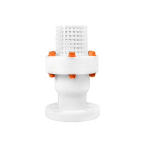 Válvula de Pie de Plástico Roscada Blanca para Sistemas de Riego, Bombas de Agua, Suministros de Jardín y Tuberías Industriales - Product Image 3