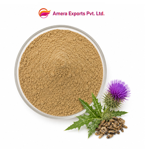 Proveedor de Materia Prima de Suplemento Herbal: Extracto de Semilla de Cardo Mariano (Silybum Marianum) 60% Silimarina en Polvo a Granel OEM - Product Image 1