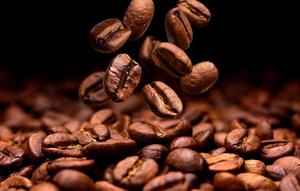 USDA & ISO Certified Specialty Arabica Roasted and Ground Coffee, Vietnam Supplier, Top Grade, Crop New Season - Product Image 3