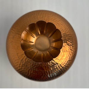 Hammered Design Luxury Iron Planter With Copper Plating Finish For Indoor Plants Decorative Garden Living Room Decor - Product Image 2