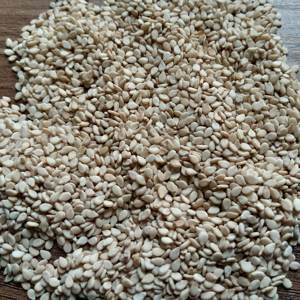 Graines de sésame - Product Image 5