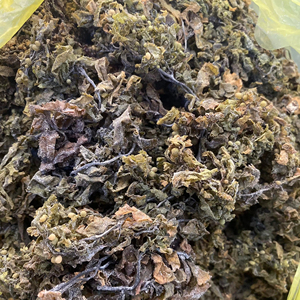 MEILLEUR PRIX TOP SARGASSUM POUDRE D'ALGUES DU VIETNAM PRÊT À EXPORTER EN VRAC/Ms.Thi - Product Image 1