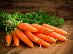 Zanahorias Frescas al por Mayor, Calidad Premium, Zanahorias Naranjas Frescas de Granja Natural para Exportación, Suministro a Granel, Vegetales de Grado Alimenticio - Product Image 3