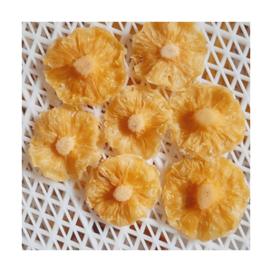 Tranches d'ananas croustillantes, séchées, sucrées, de qualité supérieure, collation de fruits, fabricant vietnamien, emballage cadeau et en vrac, qualité d'exportation en gros - Product Image 5