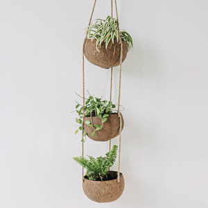Pots suspendus en coquille de noix de coco, jardinières luxueuses pour balcon et terrasse, décoration économique, pot à fleurs à prix abordable - Product Image 6
