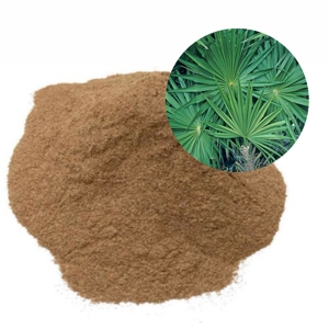 Premium <b>Saw</b> Palmetto Powder Pure & Natural <b>Saw</b> Palmetto Powder for Support Hair Care Routines, Scalp Nourishment, Hair Strength - Product Image 1