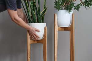 Support pour plantes en bois de frêne avec surface polie lisse, structure robuste et design peu encombrant, parfait pour la décoration des plantes à la maison et au bureau - Product Image 2