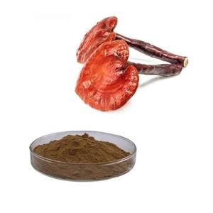 Extrait d'herbes de qualité supérieure, poudre de champignon Reishi 100% naturelle et pure, utilisée pour la santé cardiaque et le soulagement du stress - Product Image 3