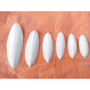 Cuttlefish bone processed sepia <b>shell</b> material for bird cage products and aquarium <b>ornament</b> Vietnam manufacturer - Product Image 5