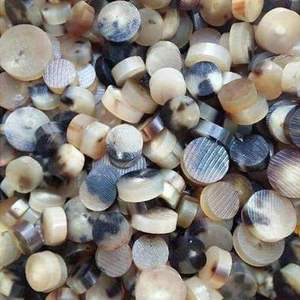 Botones de Nuez de Corozo Naturales, Hechos a Mano, Ecológicos, de Color Natural Irregular, con 2 Agujeros, para Camisas de Niños y Mujeres, Marca TIMELESS CRAFT - Product Image 4