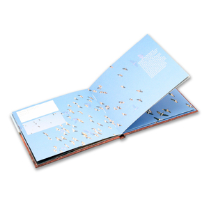 Livre CD personnalisé à couverture rigide pour projet artistique avec une page de pochette - Product Image 2