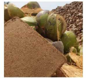 Coco Peat de Bajo Contenido de Humedad para Hidroponía, Bloques de Coco Peat Lavados, Precio Económico, Disponible Cerca de Mí, Proveedor de Calidad de Exportación - Product Image 1