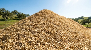 Astillas de Madera Natural a Granel para Combustible de Biomasa y Producción de MDF, Apilamiento Exterior HKD NGUYEN HONG HANH 89 Vinh Phuc - Product Image 1