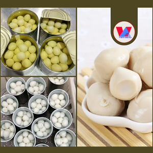 HUEVOS DE CODORNIZ EN SALMURAS ENLATADOS Clean Choice 425g, HUEVOS DE CODORNIZ PELADOS ENLATADOS, PREPARACIÓN RÁPIDA PARA SOPAS ASIÁTICAS Y RESTAURANTES DE HOT POT - Product Image 2