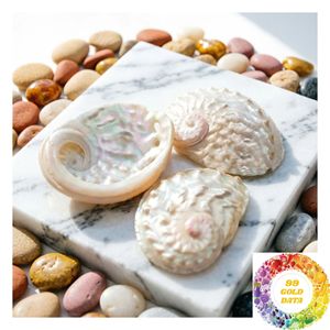 Coquille d'ormeau naturelle pour l'artisanat, la décoration en mosaïque, les projets faits main, découpe sur mesure et conception de produits créatifs - Product Image 4