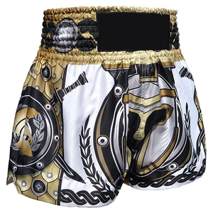 Custom Design Printed <b>Stretch</b> 100% Polyester Kick Boxing Muay Thai MMA Shorts Sublimation Washed Technique Fight Training Boxing - Product Image 3