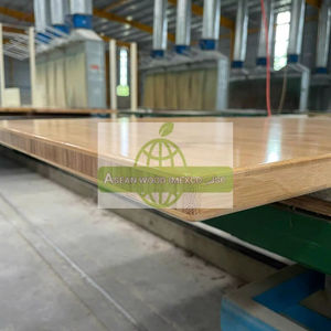 Contrachapados de Alta Calidad, Nuevos Contrachapados de Construcción Asean, Madera de Bambú Multicapa para Muebles en Vietnam - Product Image 4