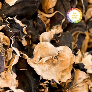 Hongo oreja de diablo (kikurage) de Vietnam a precio económico, ideal para toppers de ramen e ingrediente crujiente más vendido. - Product Image 1