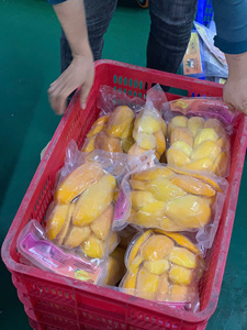 Mejillas de Mango Congeladas IQF de Calidad Premium para Exportación desde Vietnam - Product Image 4