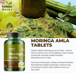 Comprimés de Moringa Amla 500 mg – Feuille de Moringa naturelle, Groseille indienne, Bonbons pressés, Pilules à base de plantes haute puissance, Vente en gros - Product Image 4