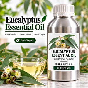 Aceite Esencial de Eucalipto Botánico para Compras al por Mayor, Adquisición a Granel y Suministro de Materia Prima Comercial - Product Image 5