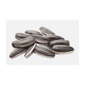 Semillas de girasol a precio de fábrica, selección de alta calidad, listas para envío a gran volumen - Product Image 6