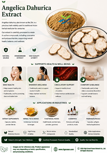 Suministro directo de fábrica HGO de extracto de Angelica Dahurica natural puro (grado alimenticio) Especificación 10:1 (extracto de proporción) - Product Image 3