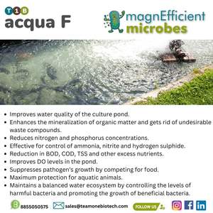 Probiotiques piscicoles efficaces pour supprimer les bactéries nocives - Product Image 6