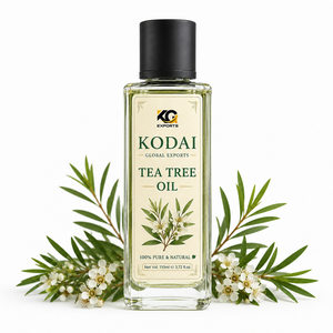Huile d'Arbre à Thé Pure et Naturelle 100ml en Bouteille Ambrée avec Prise US 100g pour Soins Personnels - Product Image 1