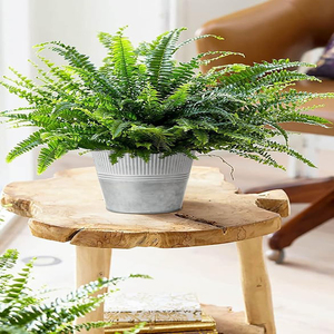Macetas Galvanizadas, Cubos Metálicos Medianos para Flores, Macetas de Estilo Rústico para Exteriores, Cubo Metálico para Decoración del Hogar en Interiores, Juego de 6 - Product Image 5