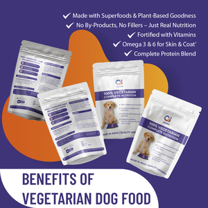 ODM Nourriture végétalienne équilibrée pour chiens avec lentilles pois chiches et patate douce 100% protéines végétales sans sous-produits animaux OEM disponible - Product Image 5