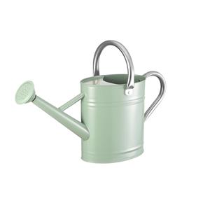 Arrosoir en métal vintage pour plantes d'extérieur et jardinage - Product Image 1