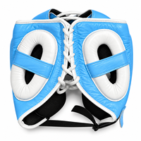 Ensemble de protection pour boxe et sparring, modèle dernier cri, couleur bleu ciel, comprenant gants, protège-tête, protège-génitales, kit d'entraînement et équipement de protection MMA.