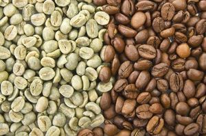 Vietnam Organic Green Coffee <b>Beans</b> Arabica S16 Wholesale Direct Export USDA Organic Certified Low Defect TNFOOD AA+ Grade - Product Image 5