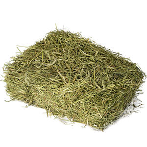 Heno de Timothy para Alimentación Animal, Pellets de Alfalfa/Heno de Alfalfa en Pacas - Product Image 3