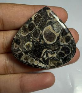 Cabujón de ágata Turritella en forma de corazón, mineral pulido para la fabricación de joyas - Product Image 3