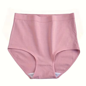 Ensemble de bikini sexy pour femmes, soutien-gorge et culotte, taille mi-haute, sous-vêtements ODM en nylon antibactérien, motif léopard transparent simple - Product Image 1