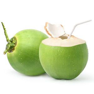 Noix de coco verte jeune de haute qualité, fraîche, provenant de l'agriculture du Ben Tre au Vietnam, avec une durée de conservation de 50 jours, prix abordable - Product Image 2