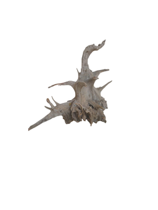 Decoración de Acuario de Madera Natural, Forma Irregular, Adorno Duradero para Pecera, Ecológico, Hecho en Vietnam - Product Image 3